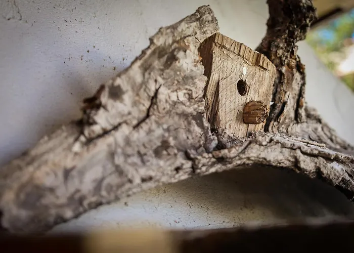 La Σπίτι διακοπών